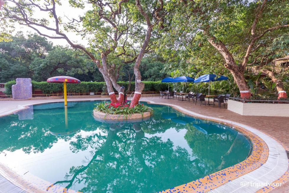 Beautiful Place Near Old Band Road Mahabaleshwar Ngoại thất bức ảnh